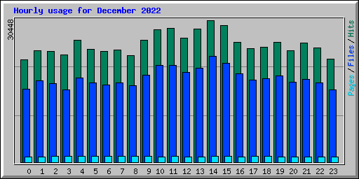 Hourly usage for December 2022