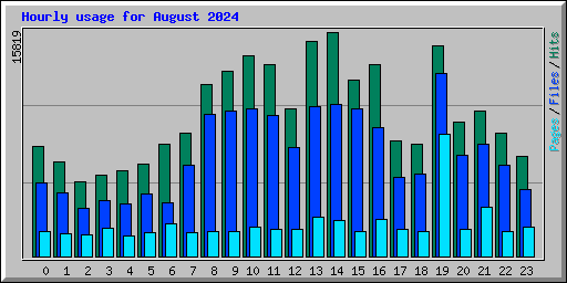 Hourly usage for August 2024