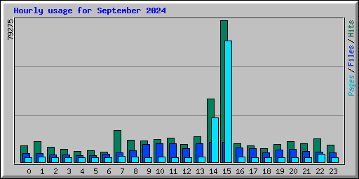 Hourly usage for September 2024