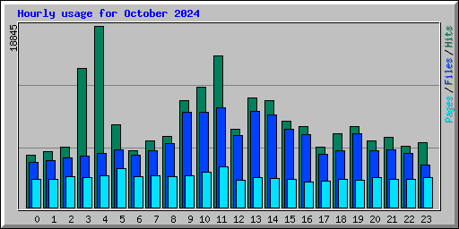 Hourly usage for October 2024