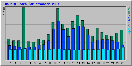 Hourly usage for November 2024