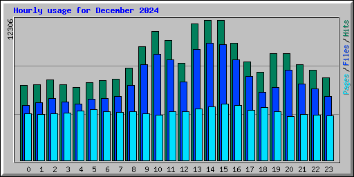 Hourly usage for December 2024