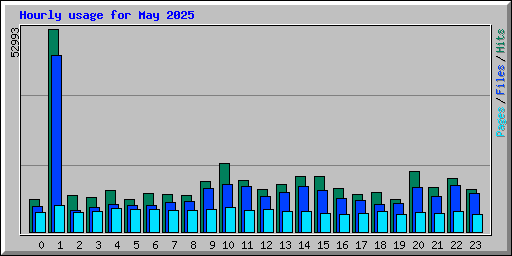 Hourly usage for May 2025