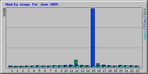 Hourly usage for June 2025