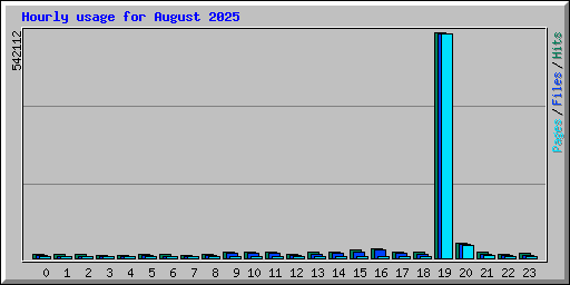 Hourly usage for August 2025