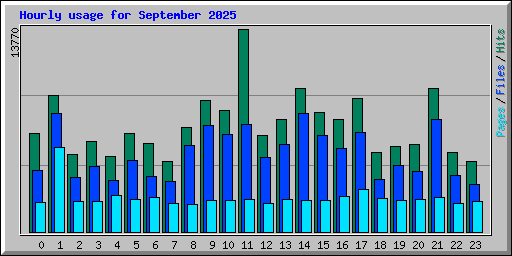 Hourly usage for September 2025