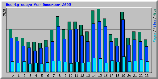 Hourly usage for December 2025