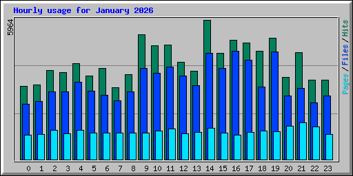 Hourly usage for January 2026